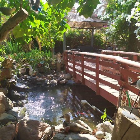 Lotus Turtle Garden Eilat Apartment Exterior photo