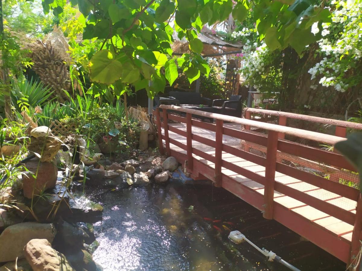 Lotus Turtle Garden Eilat Apartment Exterior photo